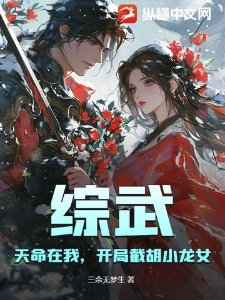 综武：天命在我，开局截胡小龙女