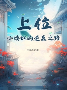 上位，小蝼蚁的逆袭之路